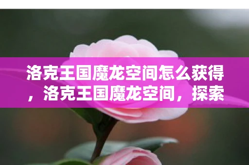洛克王国魔龙空间怎么获得，洛克王国魔龙空间，探索神秘与冒险的奇幻之旅