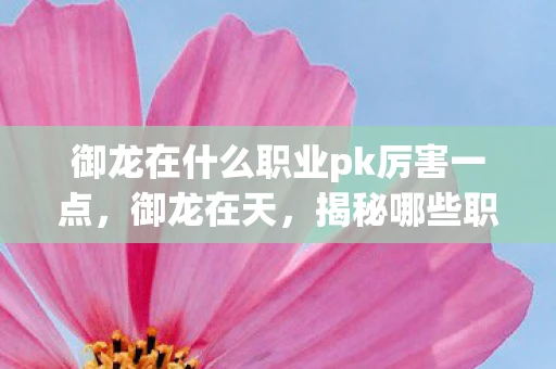 御龙在什么职业pk厉害一点，御龙在天，揭秘哪些职业在PK中占据优势