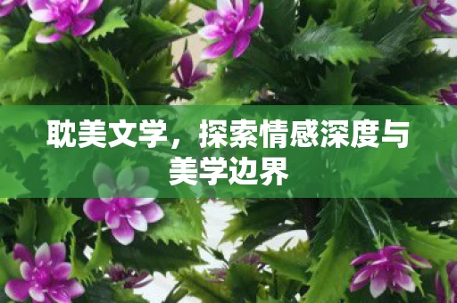 耽美文学，探索情感深度与美学边界
