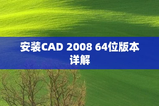 安装CAD 2008 64位版本详解图片