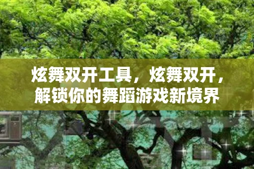 炫舞双开工具，炫舞双开，解锁你的舞蹈游戏新境界
