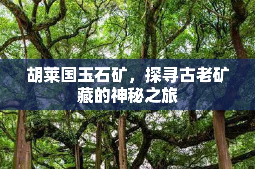 胡莱国玉石矿，探寻古老矿藏的神秘之旅