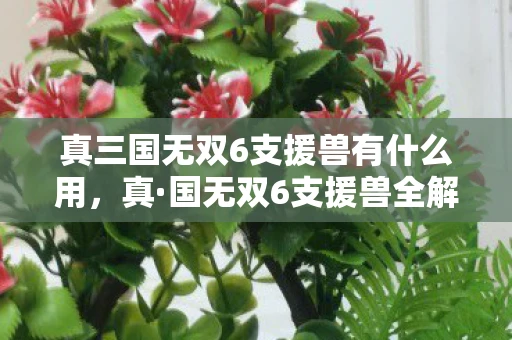 真三国无双6支援兽有什么用，真·国无双6支援兽全解析