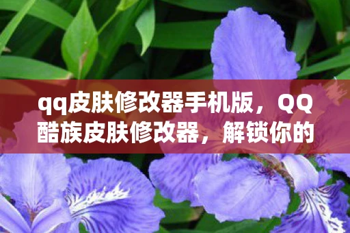 qq皮肤修改器手机版，QQ酷族皮肤修改器，解锁你的个性化聊天体验