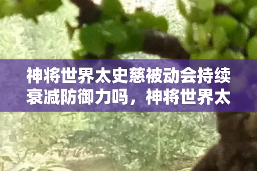 神将世界太史慈被动会持续衰减防御力吗，神将世界太史慈，忠勇双全的英雄传奇