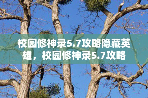 校园修神录5.7攻略隐藏英雄，校园修神录5.7攻略