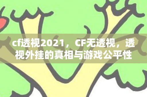 cf透视2021，CF无透视，透视外挂的真相与游戏公平性