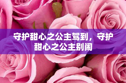 守护甜心之公主驾到，守护甜心之公主别闹