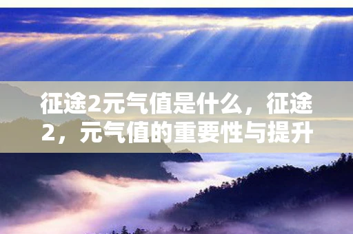 征途2元气值是什么，征途2，元气值的重要性与提升策略