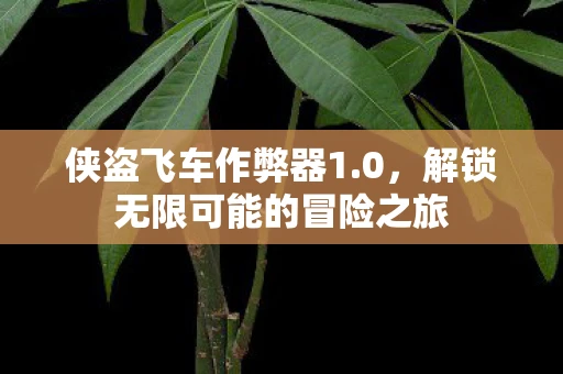 侠盗飞车作弊器1.0，解锁无限可能的冒险之旅
