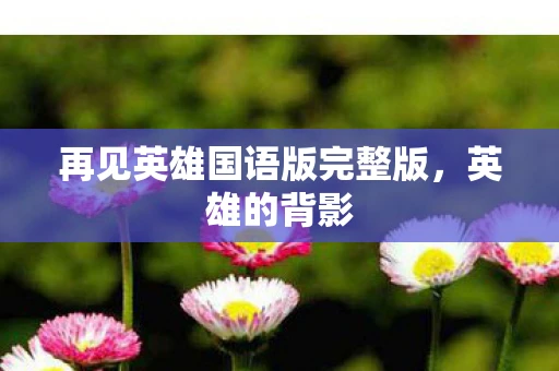 再见英雄国语版完整版，英雄的背影