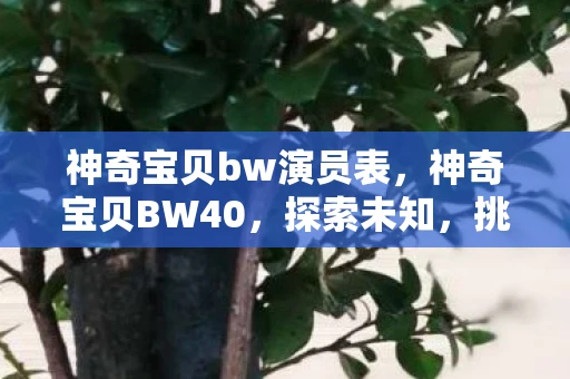 神奇宝贝bw演员表，神奇宝贝BW40，探索未知，挑战极限