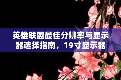 英雄联盟最佳分辨率与显示器选择指南图片