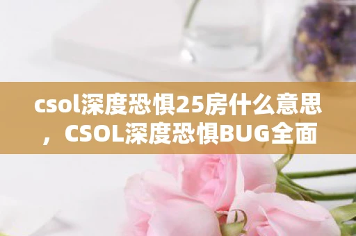 csol深度恐惧25房什么意思，CSOL深度恐惧BUG全面解析与应对方法