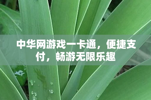 中华网游戏一卡通图片