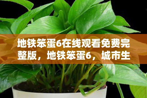 地铁笨蛋6在线观看免费完整版，地铁笨蛋6，城市生活的另类观察