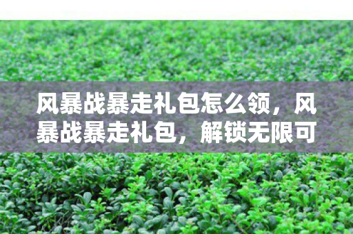 风暴战暴走礼包怎么领，风暴战暴走礼包，解锁无限可能的神秘钥匙