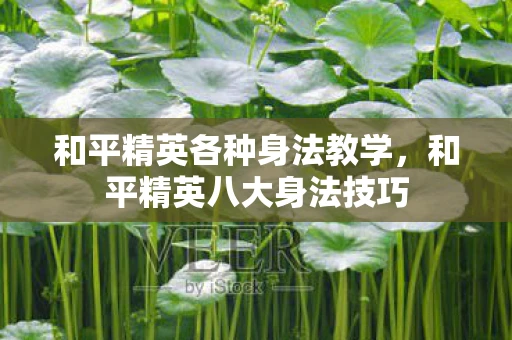 和平精英各种身法教学，和平精英八大身法技巧