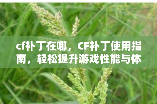 cf补丁在哪，CF补丁使用指南，轻松提升游戏性能与体验