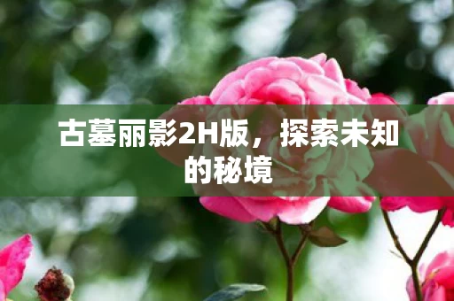 古墓丽影2H版图片