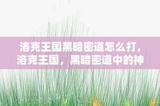 洛克王国黑暗密道怎么打，洛克王国，黑暗密道中的神秘传说
