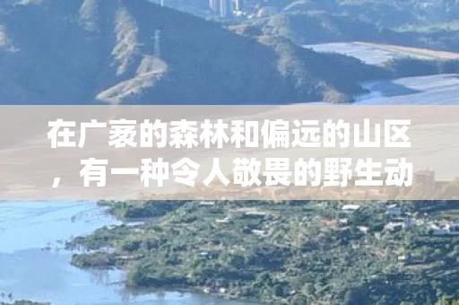 在广袤的森林和偏远的山区，有一种令人敬畏的野生动物—狗熊。它们不仅是自然界的强者，更是生态系统中不可或缺的一环。本文将带您深入了解这种神秘而迷人的生物，探索它们的习性、生态价值以及与人类的关系