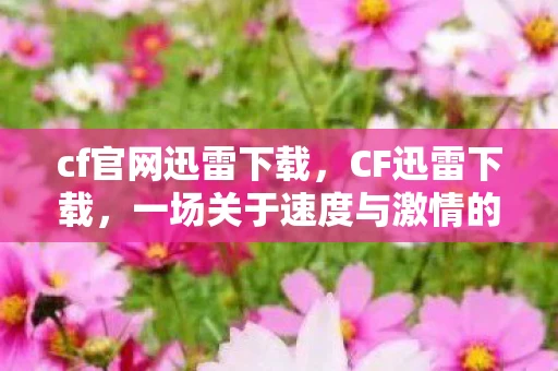 cf官网迅雷下载，CF迅雷下载，一场关于速度与激情的较量