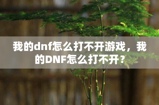 我的dnf怎么打不开游戏，我的DNF怎么打不开？