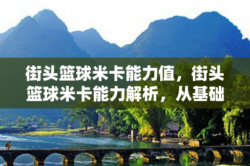 街头篮球米卡能力值，街头篮球米卡能力解析，从基础到进阶的全面解读