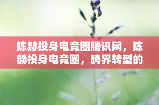 陈赫投身电竞圈腾讯网，陈赫投身电竞圈，跨界转型的娱乐新动向