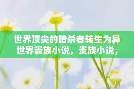 世界顶尖的暗杀者转生为异世界贵族小说，贵族小说，探索历史与文化的独特视角