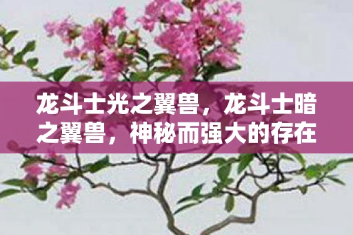 龙斗士光之翼兽，龙斗士暗之翼兽，神秘而强大的存在