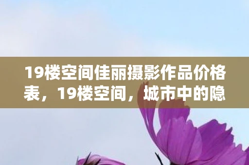 19楼空间佳丽摄影作品价格表，19楼空间，城市中的隐秘角落与心灵栖息地