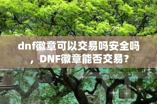dnf徽章可以交易吗安全吗，DNF徽章能否交易？