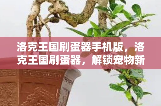 洛克王国刷蛋器手机版，洛克王国刷蛋器，解锁宠物新世界的神秘工具