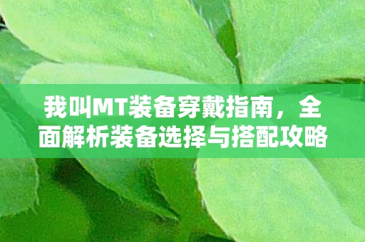 全面解析装备选择与搭配攻略图片