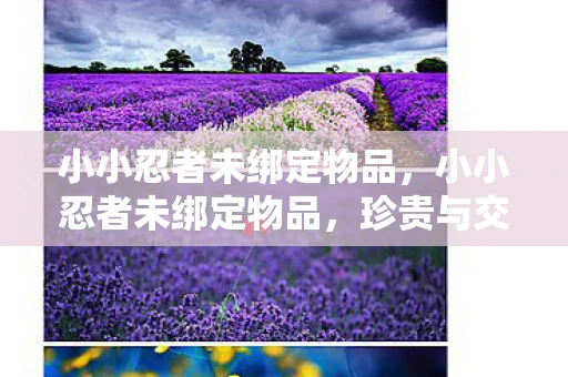 小小忍者未绑定物品，小小忍者未绑定物品，珍贵与交易的秘密