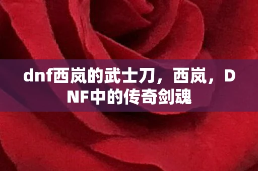 dnf西岚的武士刀，西岚，DNF中的传奇剑魂
