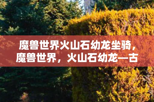 魔兽世界火山石幼龙坐骑，魔兽世界，火山石幼龙—古老传说的再现