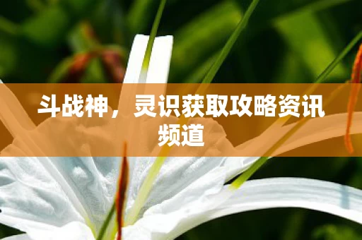 灵识获取攻略资讯频道图片