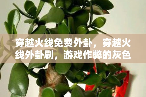 穿越火线免费外卦，穿越火线外卦刷，游戏作弊的灰色地带