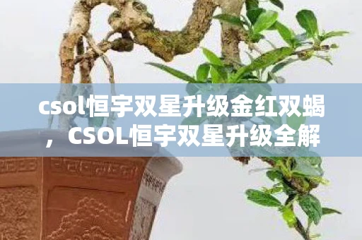 csol恒宇双星升级金红双蝎，CSOL恒宇双星升级全解析，打造你的终极武器！