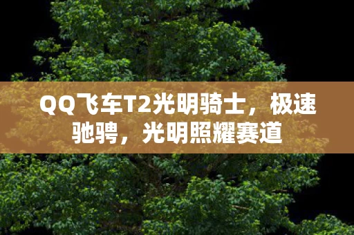 QQ飞车T2光明骑士图片