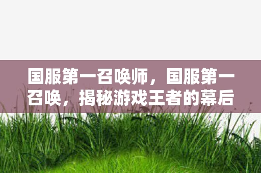 国服第一召唤师，国服第一召唤，揭秘游戏王者的幕后故事