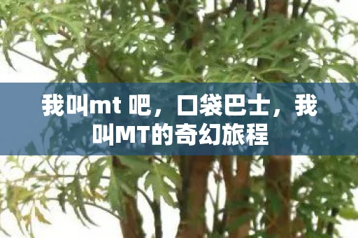我叫mt 吧，口袋巴士，我叫MT的奇幻旅程