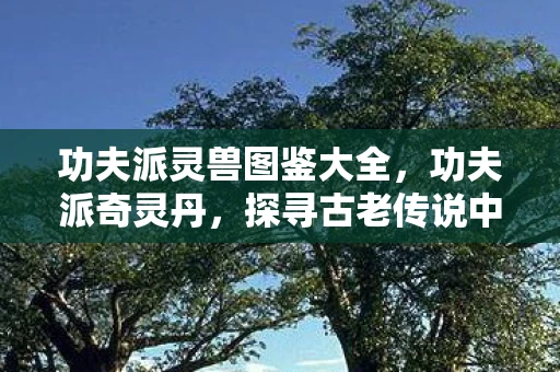 功夫派灵兽图鉴大全，功夫派奇灵丹，探寻古老传说中的神秘力量
