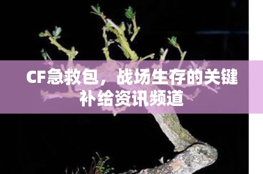 战场生存的关键补给资讯频道图片