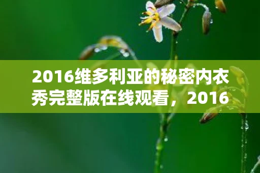 2016维多利亚的秘密内衣秀完整版在线观看，2016维多利亚的秘密内衣秀，时尚与梦幻的完美结合