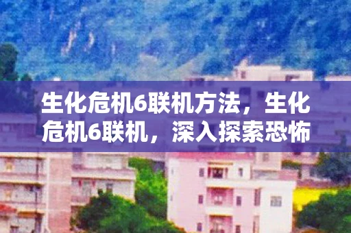 生化危机6联机方法，生化危机6联机，深入探索恐怖世界的合作之旅