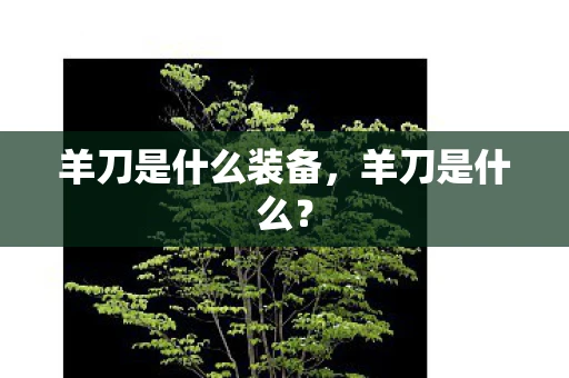 羊刀是什么装备，羊刀是什么？